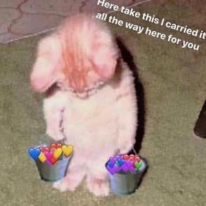 国产三级精品三级在专区中文
