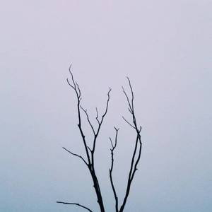 国产三级精品三级在专区中文
